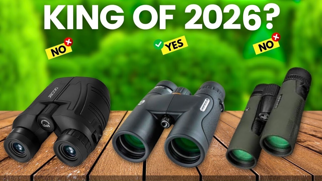 6 Best Binoculars For Bird Watching 2025
