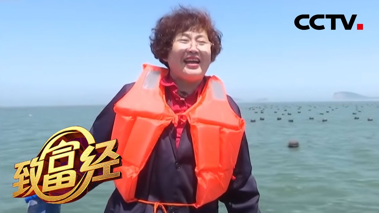 《致富经》打不倒的女汉子 海里捞金赢财富 20200706 | CCTV农业