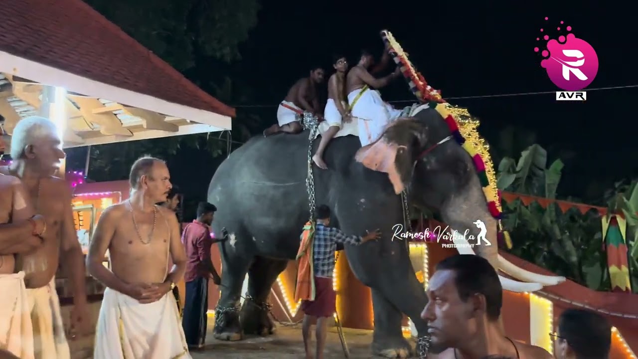 Sree Janardhana Swamy Aarattu | Pallivetta | Varkala | @varkala  #elephant #varkala #sivaraju