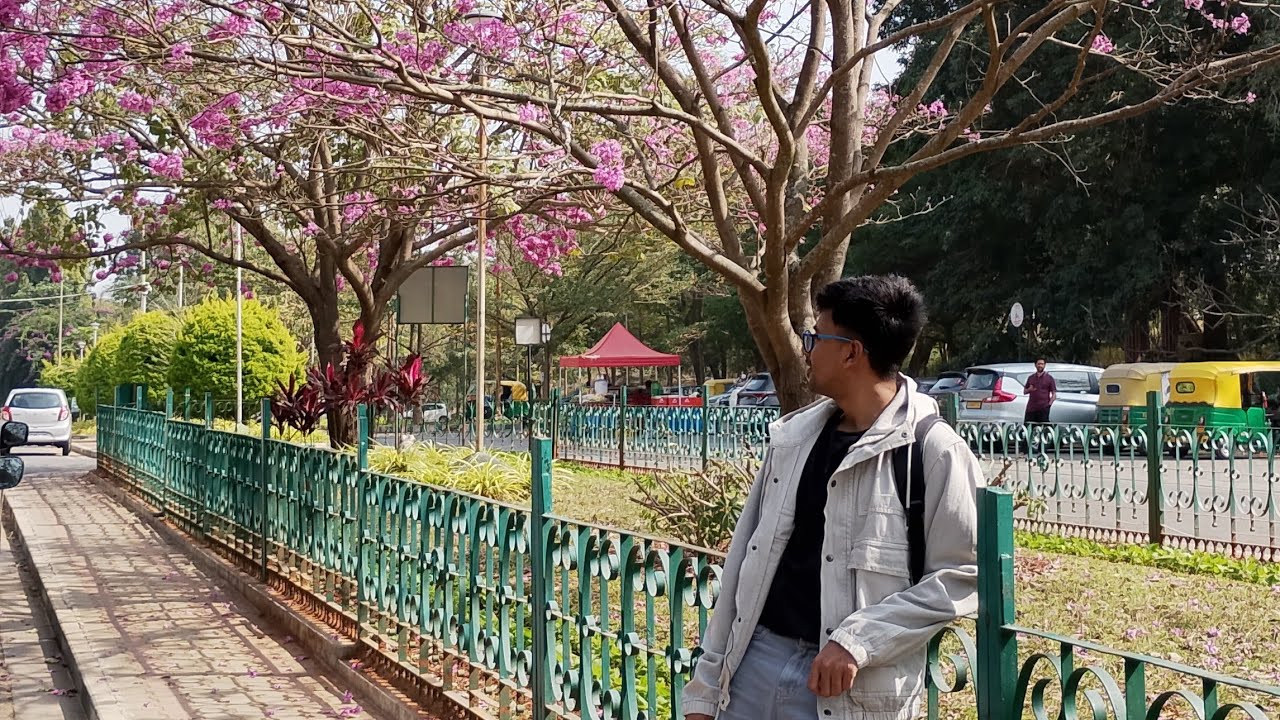 Visiting My IGNOU Study Center in Bangalore | What to Expect?