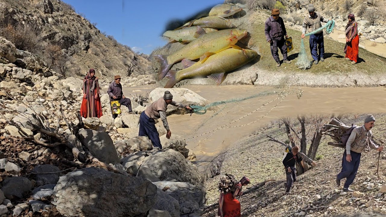 Nomadic Life: Nomadic Fishing in a River: Putting firewood for the nomadic house🎣🔥