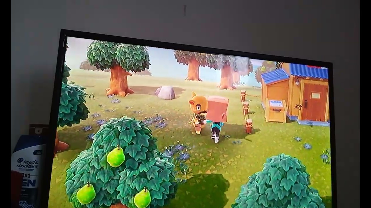 Animal Crossing New Horizons [#030A] (DAY 30A: JOB 19, PART I)