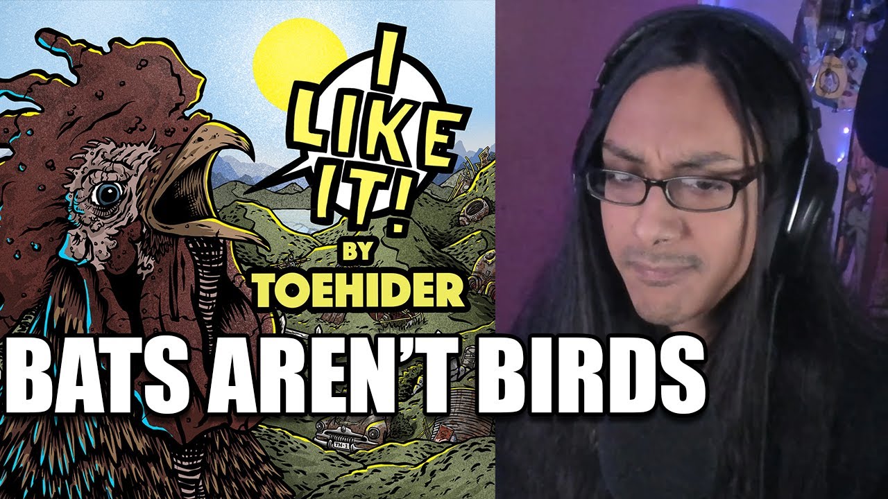 Toehider Bats Arent Birds Reaction