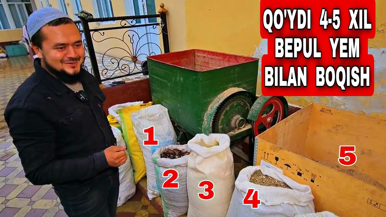 BEPUL  YEM  TAYORLASHNI  O'RGANING.