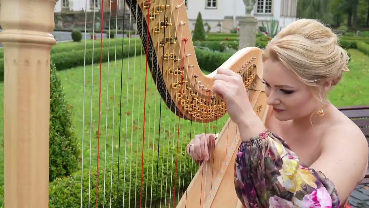 Portuguese Love Theme (harp cover)