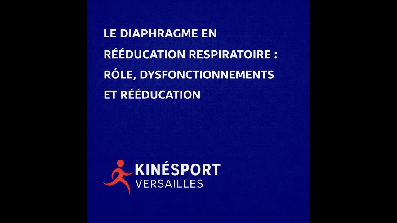 Le diaphragme en rééducation respiratoire   rôle, dysfonctionnements et rééducation