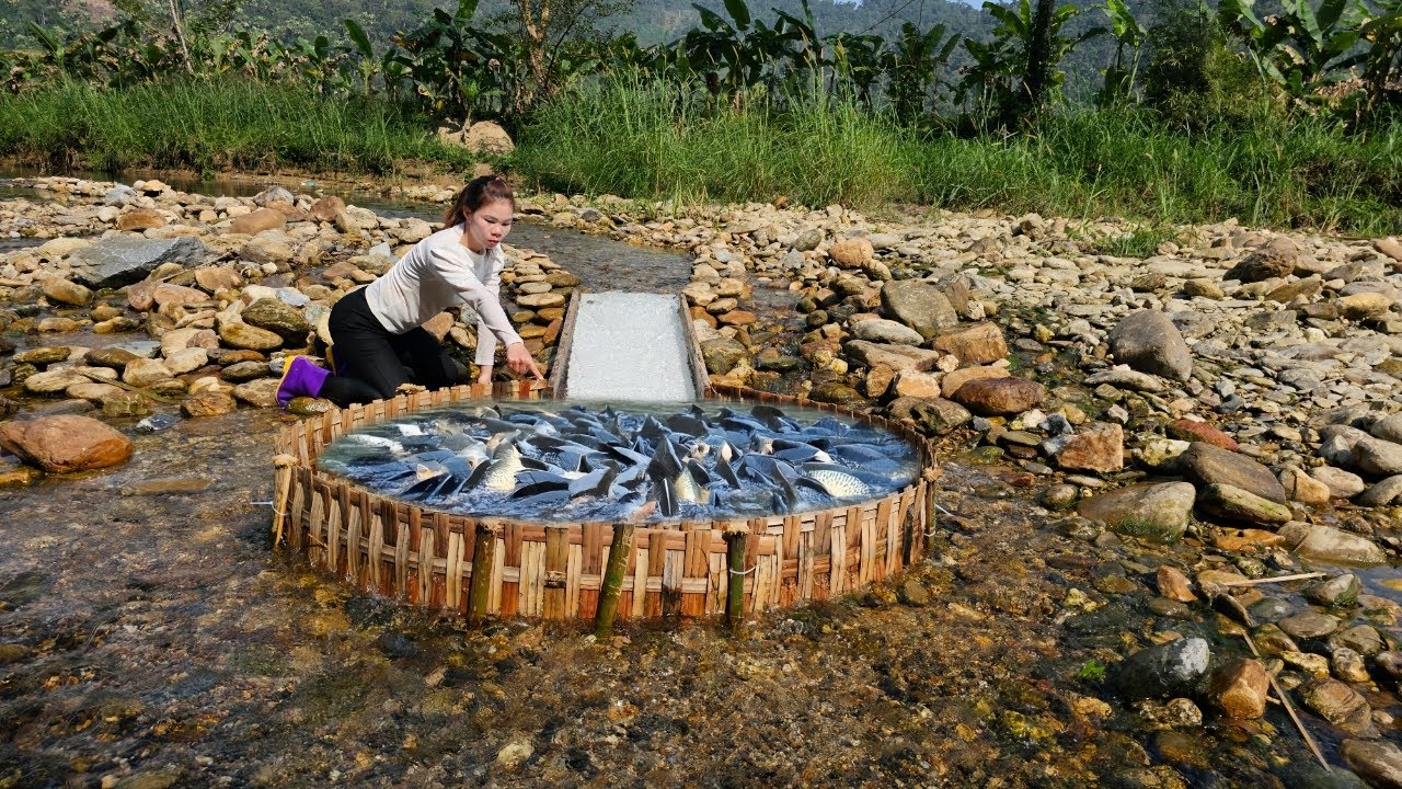 The girl caught a lot of fish from the traps she made herself and took them to sell.