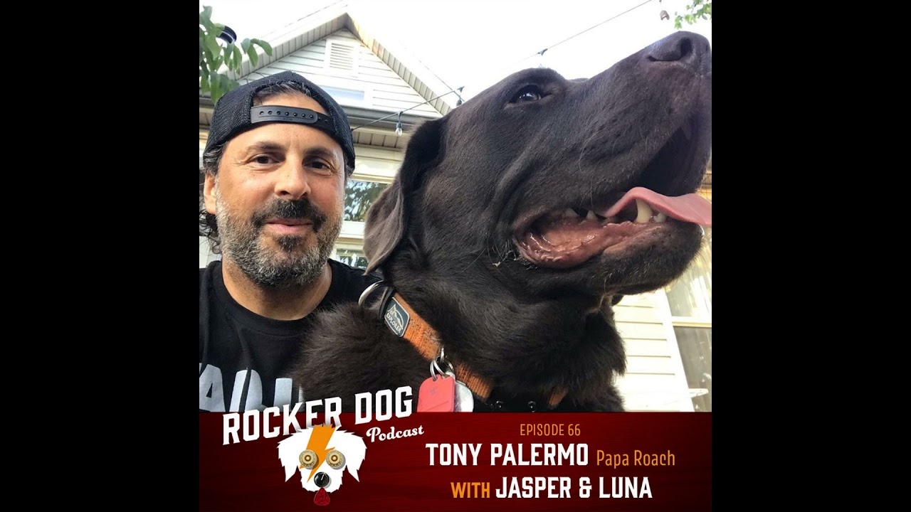 Tony Palermo - Papa Roach