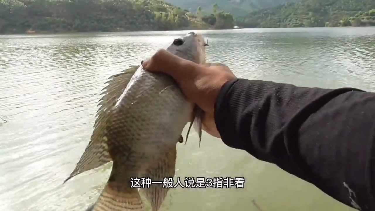 钓罗非这样搭配饵料，成本才3快钱，就钓这么多鱼，太值了。