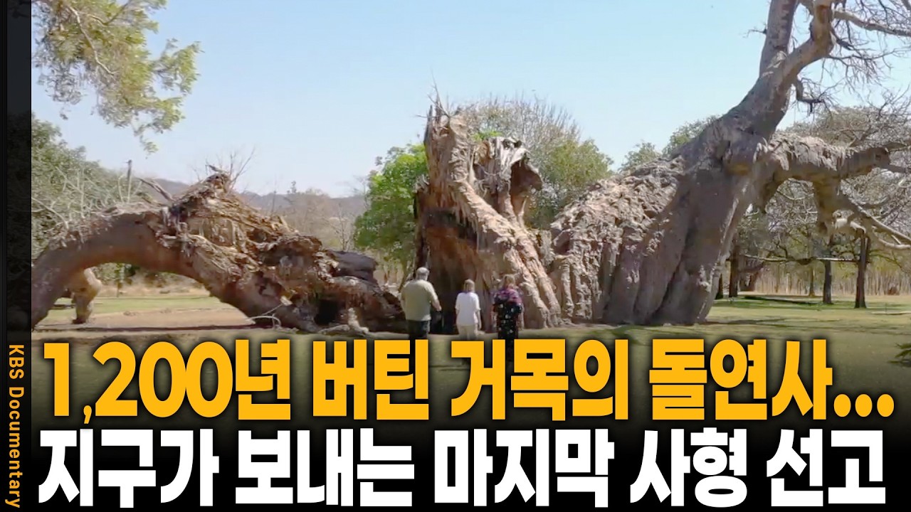 통제 불능의 임계점.. 인류 대절멸의 '제6기'는 이미 시작되었습니다 | KBS 다큐인사이트 20200130 방송