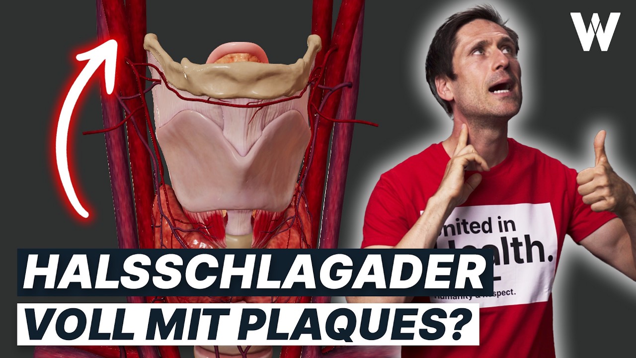 Verstopfte Halsschlagader: Typische Ursachen, wichtige Anzeichen und Folgen für Ihren Körper!