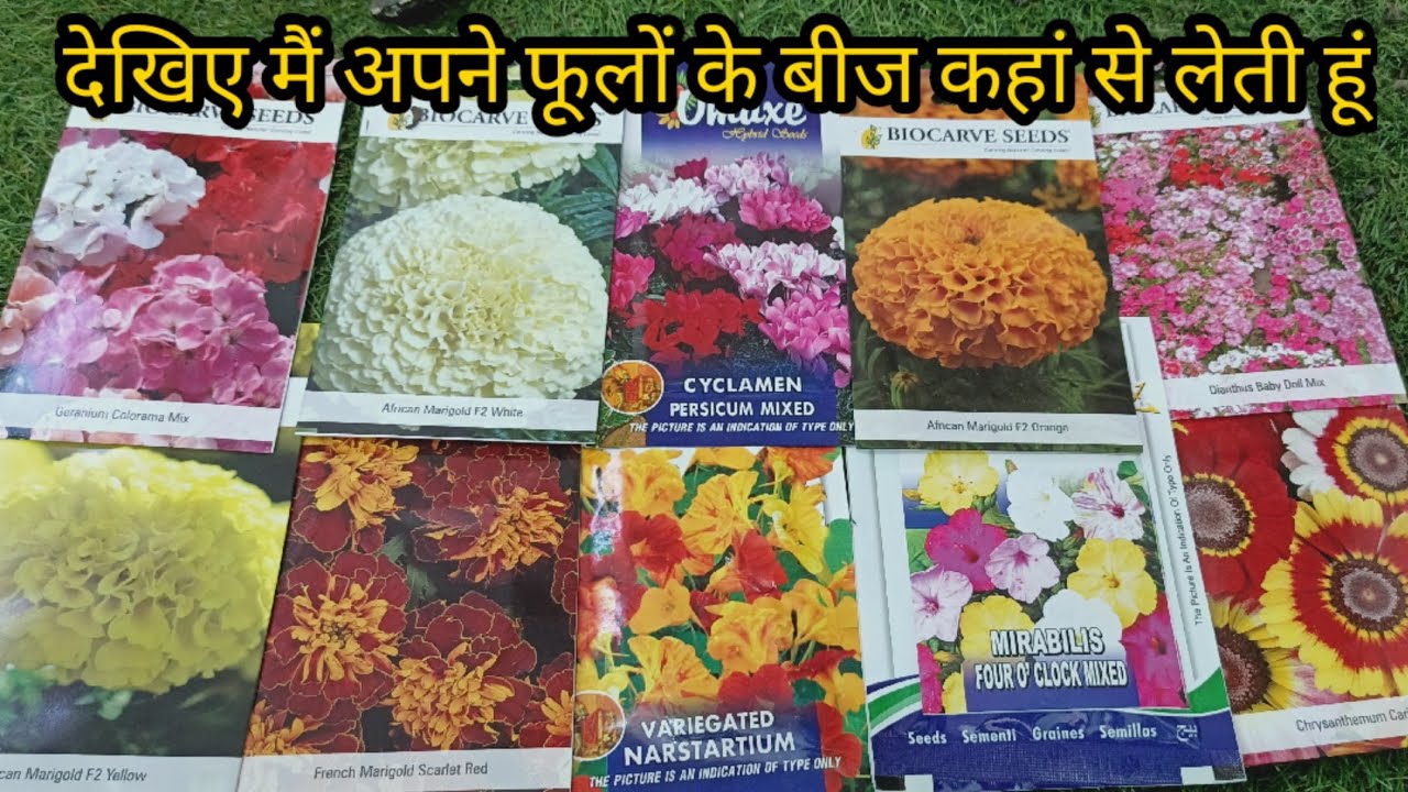 देखिए मैं अपने फूलों के बीज कहां से और कितने में लेती हूं और किससे? my winter flowers it's shopping