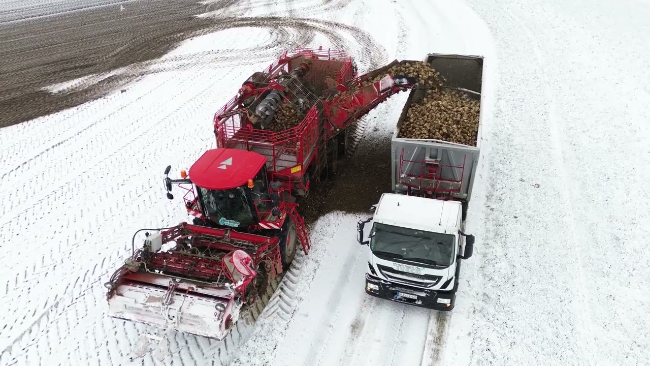 Holmer Terra Dos T 4.40 beim Z-Rüben roden im Schnee, IVECO LKW.