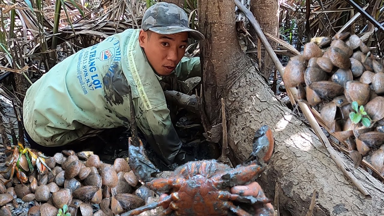 Bắt Trúng Ổ Đầy Bao Hải Sản Cua Dộp Nằm Thấy Ham