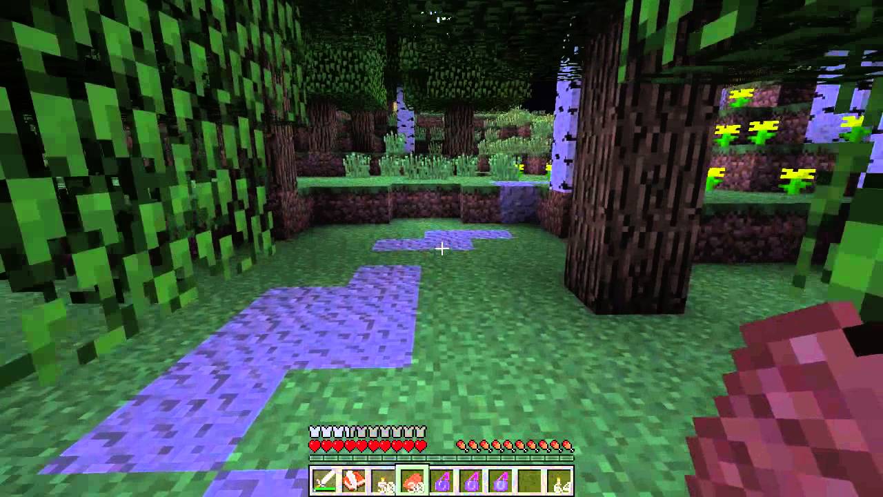 Pig Dragon Rider - Joe's Amateur Adventure Maps