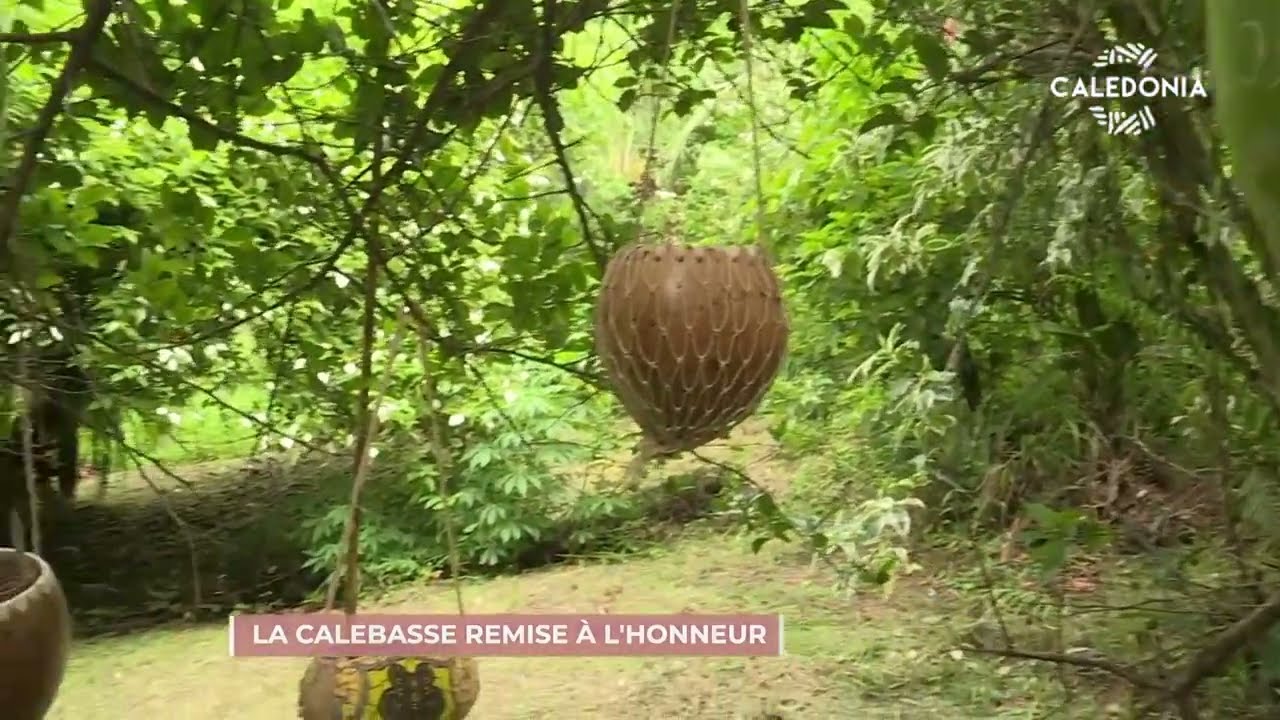 La calebasse remise à l'honneur