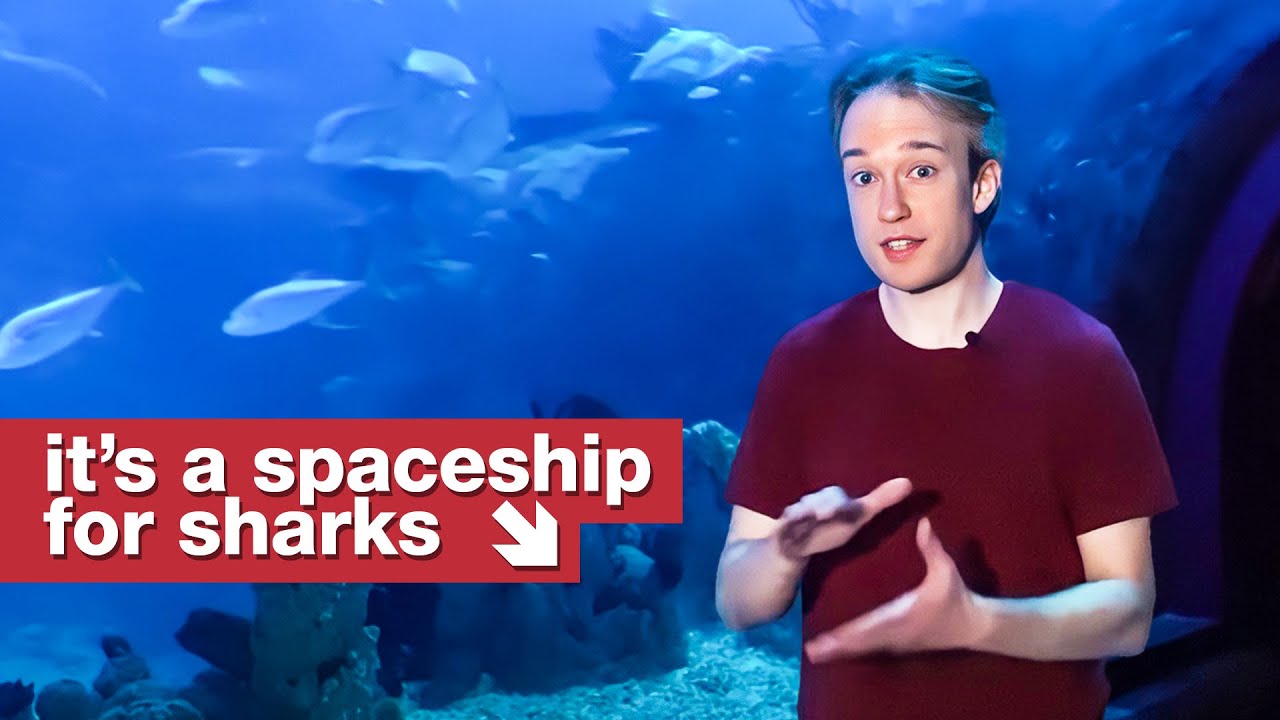 This changed my mind about aquariums.