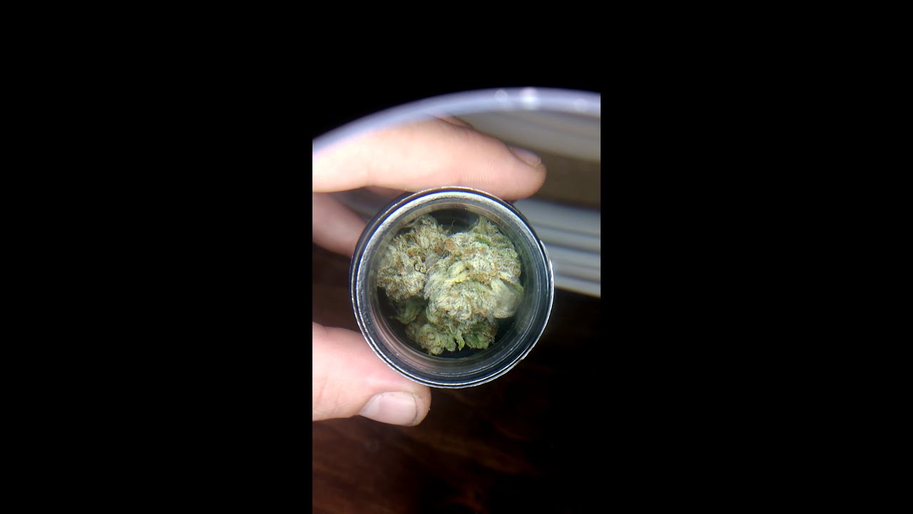 The highest cannabis strain in Massachusetts 🔥🔥🔥🔥🚒
