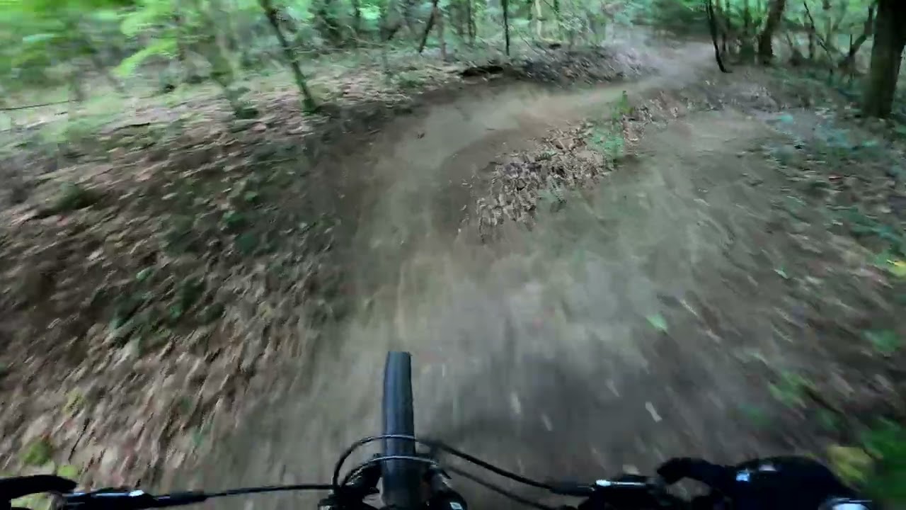 2024.05.04. János-hegy - Hárshegy / GoPro Hero 8 Black / 4K / 30FPS / SuperView / RAW