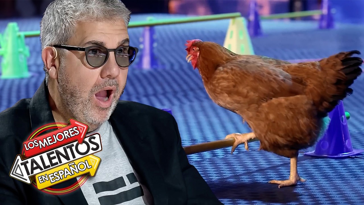 ¡Las audiciones de animales más INCREÍBLES en Got Talent España!