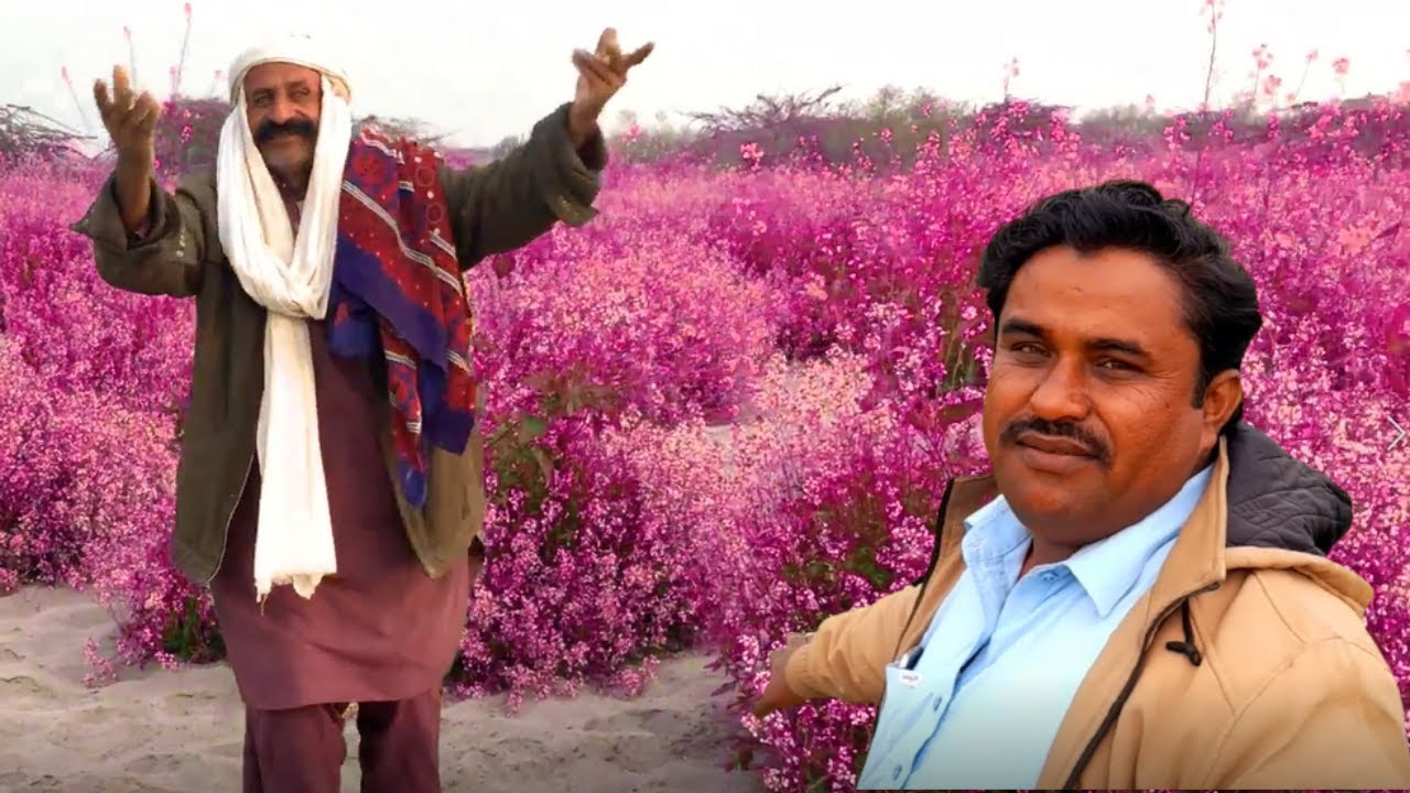 Humne Phir Sy Vlog Banana Start Kiya Hai Saraiki Tv