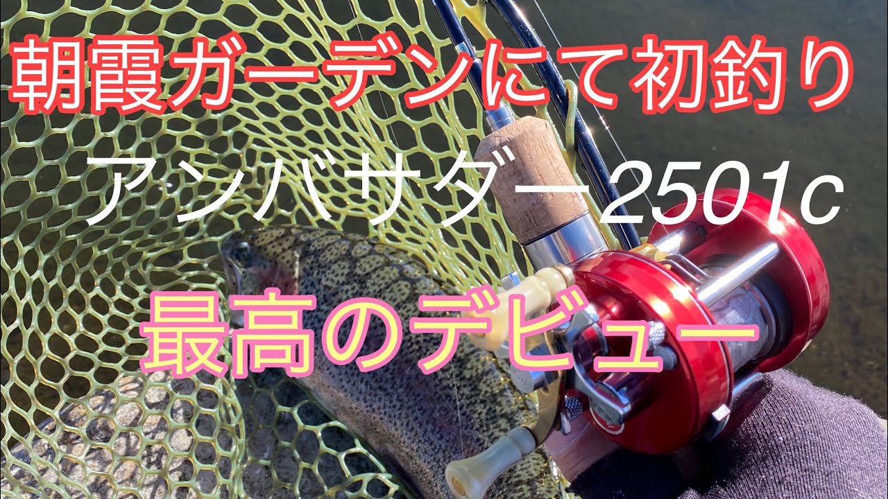2021年釣り初め。アンバサダー2501c朝霞ガーデンにてデビュー #朝霞ガーデン #管理釣り場 #アンバサダー #ベイトフィネス