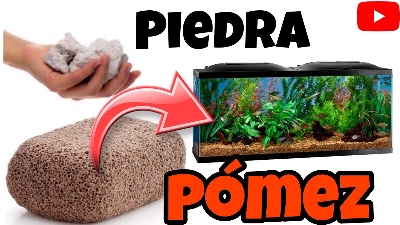PIEDRA PÓMEZ “PUMITA” en mi PECERA como material Biológico ECONOMICO