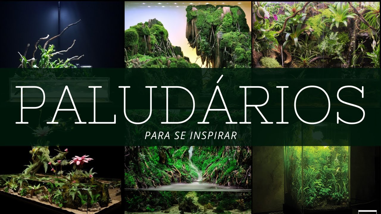 PALUDÁRIOS PARA SE INSPIRAR