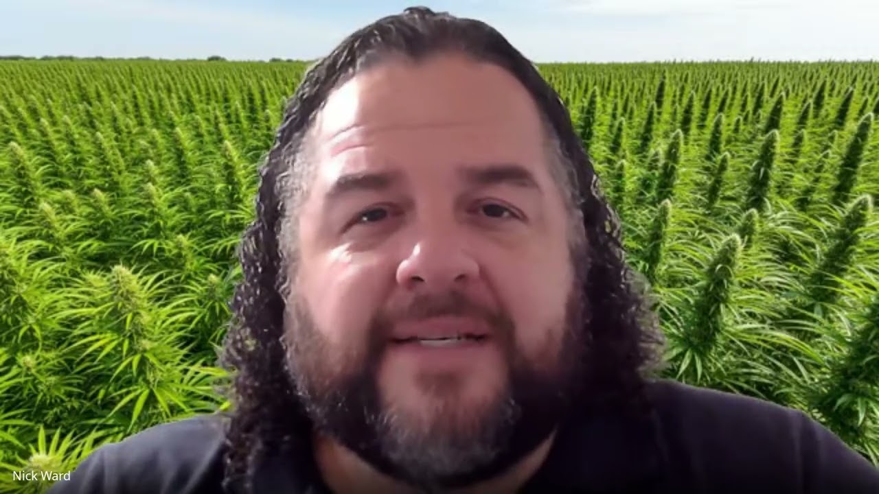 💡 Cannabis SEO in 2025: Why It&rsquo;s Different & What Actually Works