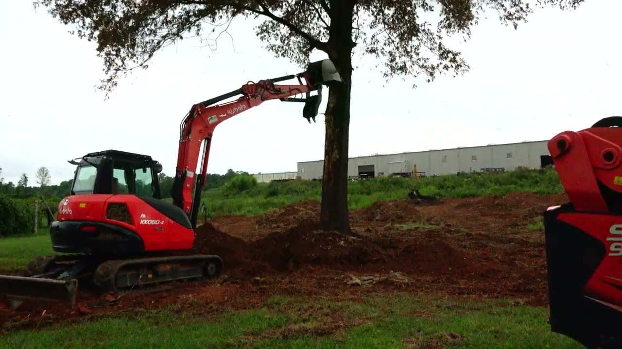 Tree Puller VS Pin Oak Round 2