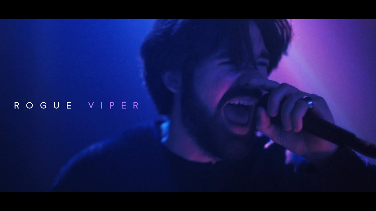 Rogue - Viper (OFFICIAL MUSIC VIDEO)