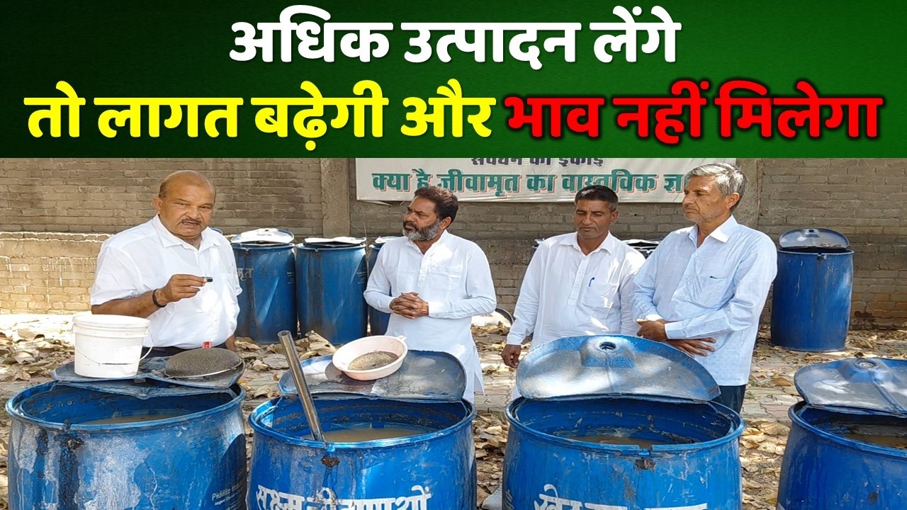 अधिक उत्पादन लेंगेतो लागत बढ़ेगी और भाव नहीं मिलेगा