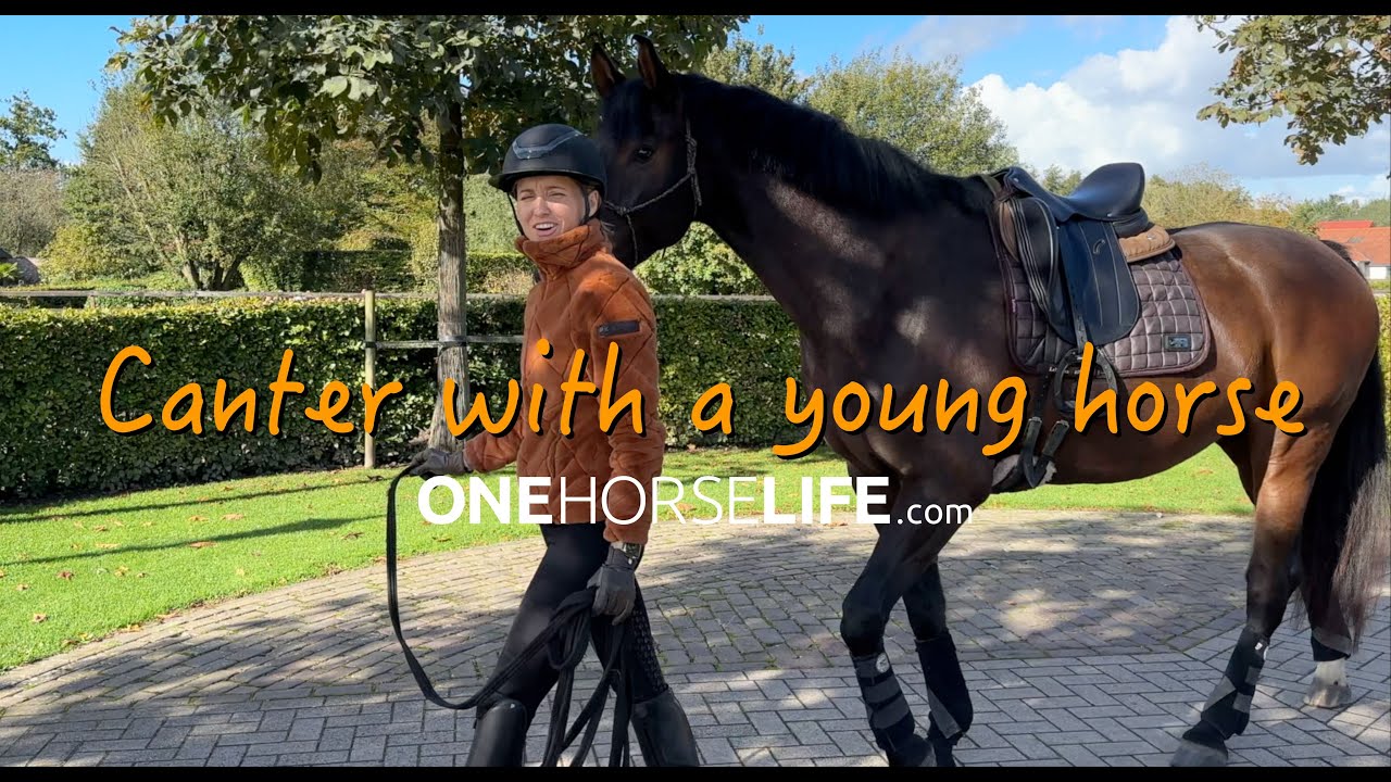 OneHorseLife TV: Step by step canter preparation for a young horse
