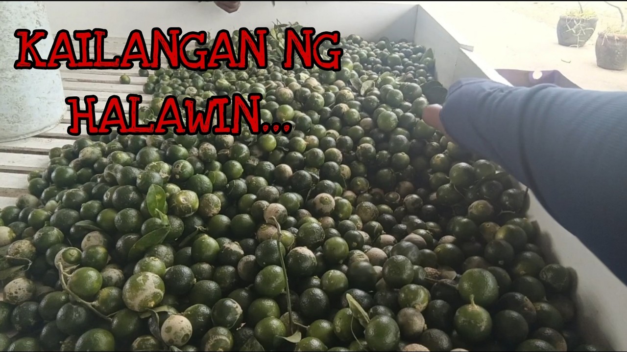KAILANGAN NG HALAWIN..