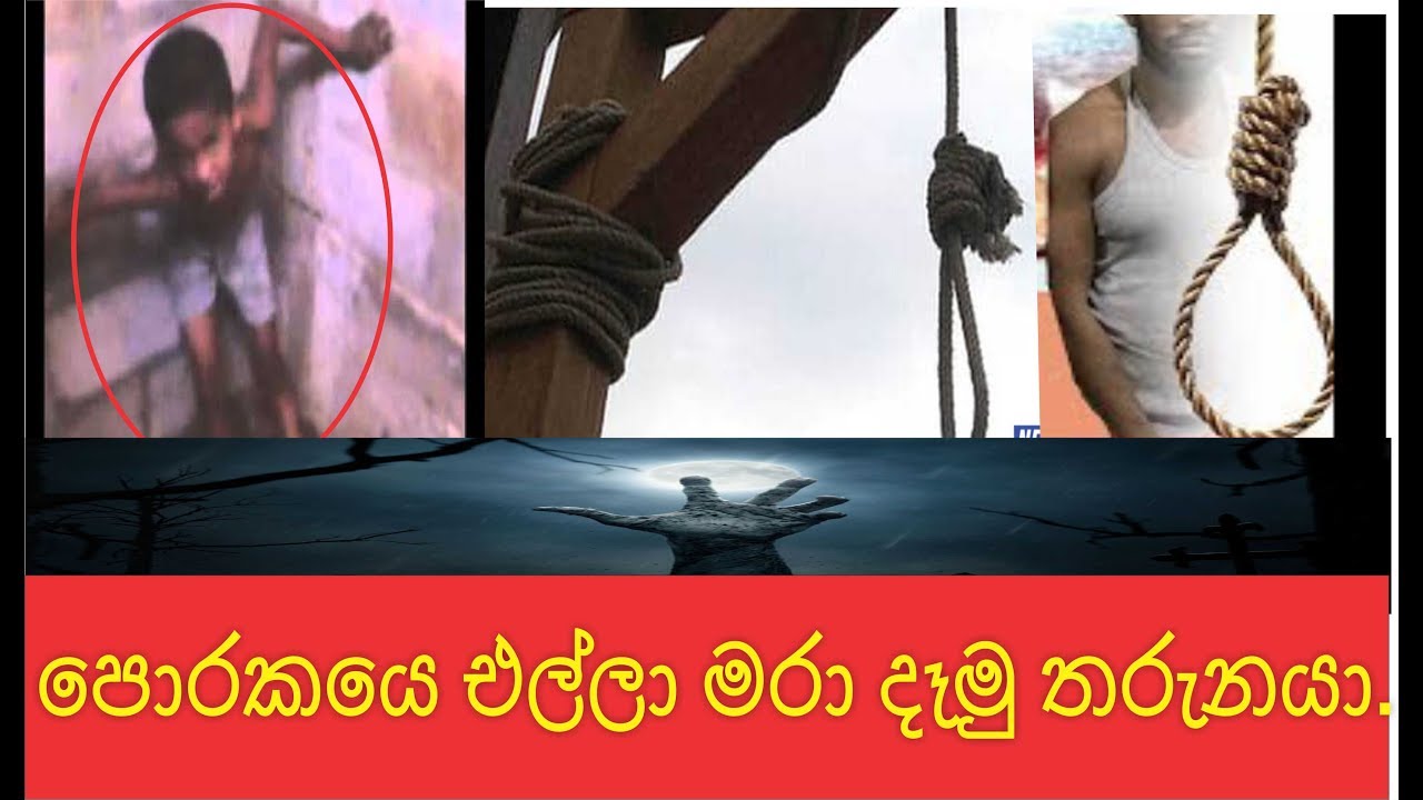 Holman Katha | Sinhala Films |  Sinhala Song |Sinhala Full Movies  | Sinhala New Songs