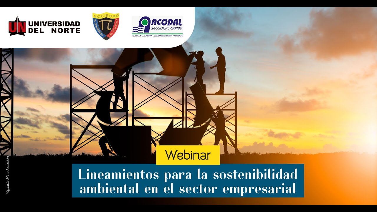 Lineamientos para la Sostenibilidad Ambiental en el Sector Empresarial