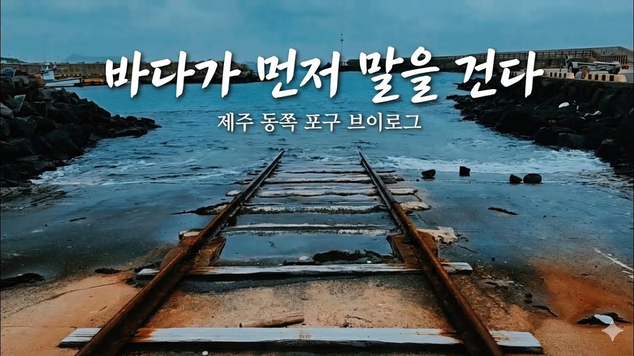 바다가 먼저 말을 건다 | 제주 동쪽 포구 감성 브이로그 | Bbaellsland