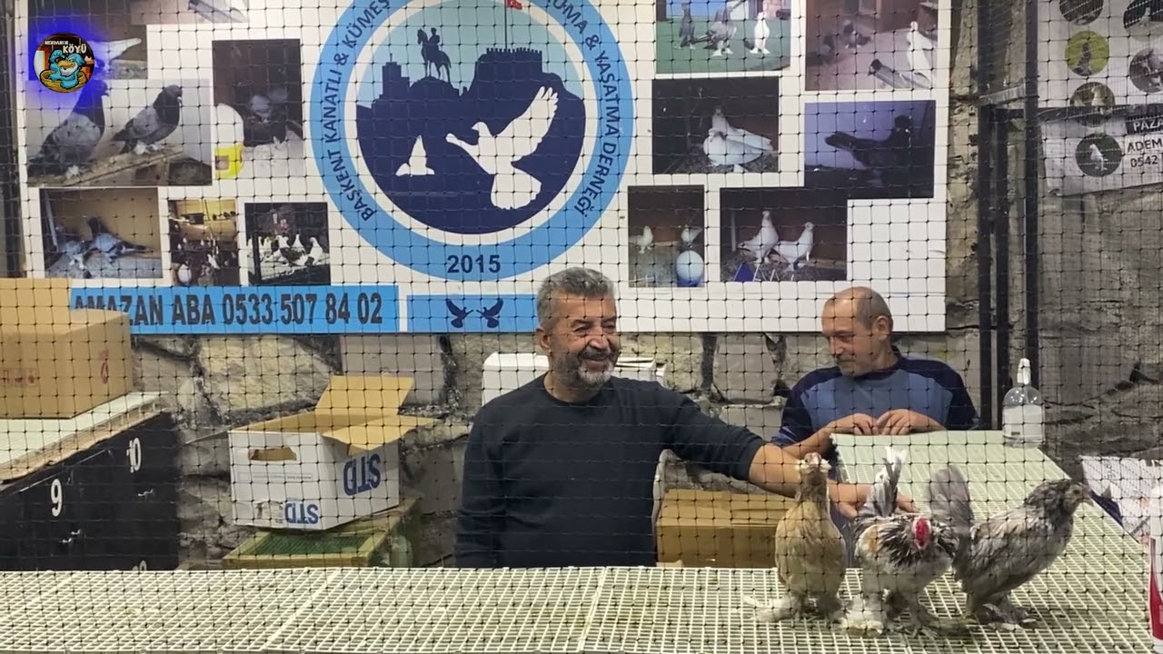 Ankara Tavuk Mezatı   ihale 2023 81
