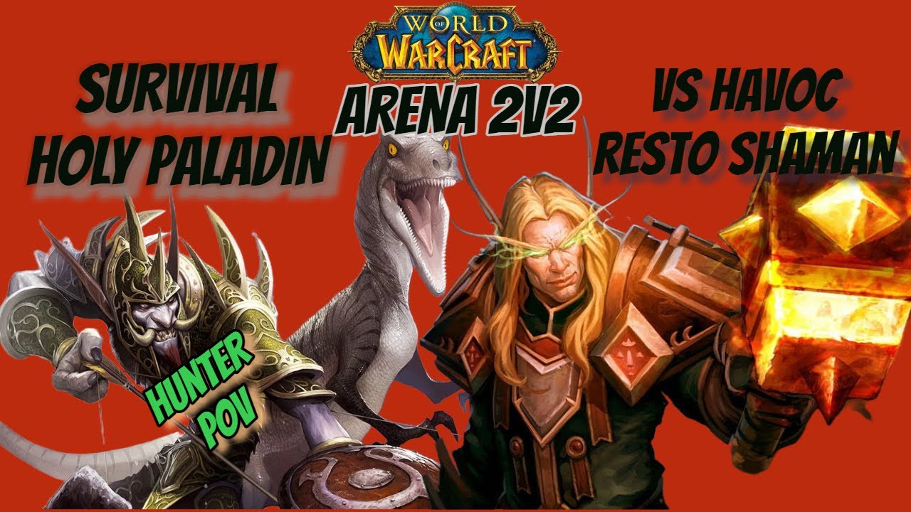 Survival Hunter & Holy Paladin VS Havoc Demon Hunter & Restoration Shaman WoW Arena 2v2