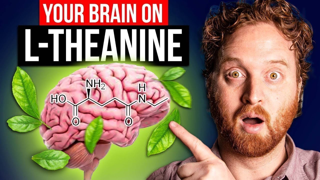 Your Brain On L-Theanine