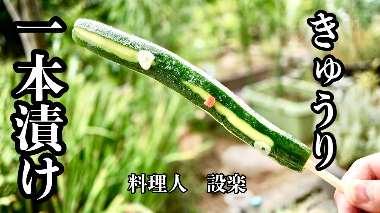 【プロ直伝】 シンプルだから美味い！【きゅうり１本漬け】の作り方　味が１発で決まる方法で誰でも美味しく作れる方法をプロが伝授