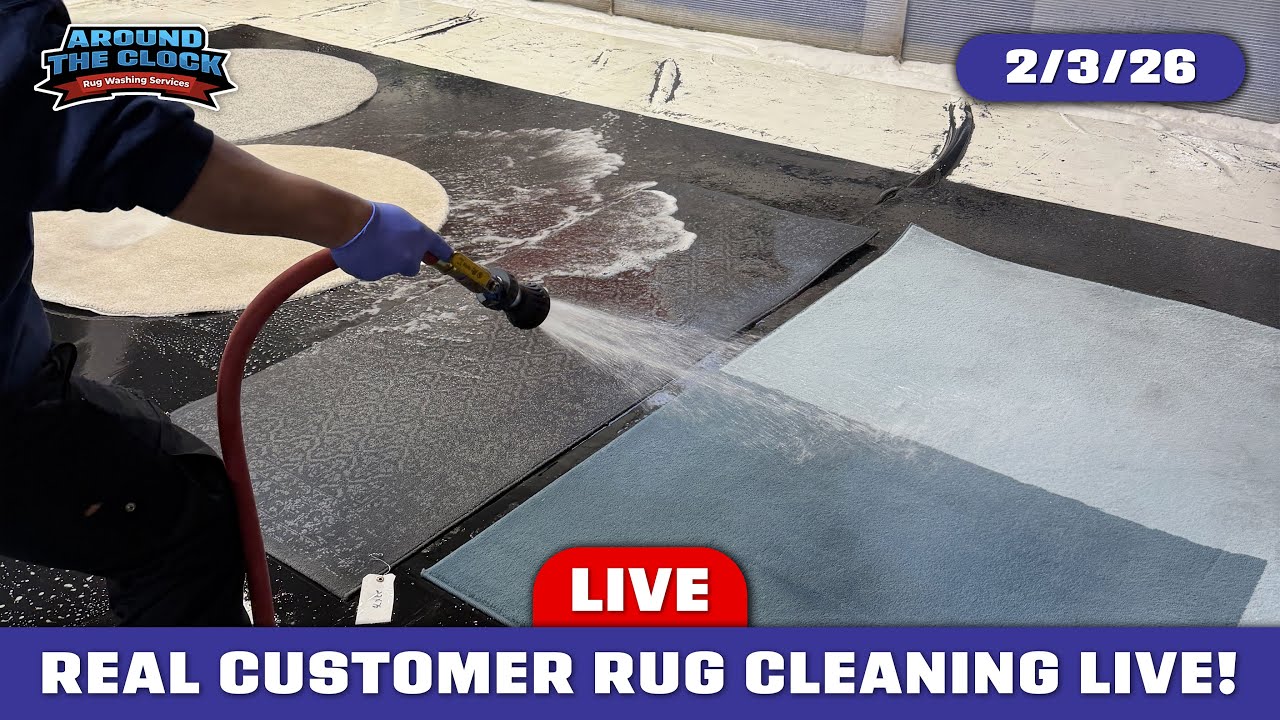 LIVE Rug Washing! #rugwashing #cleanwithme