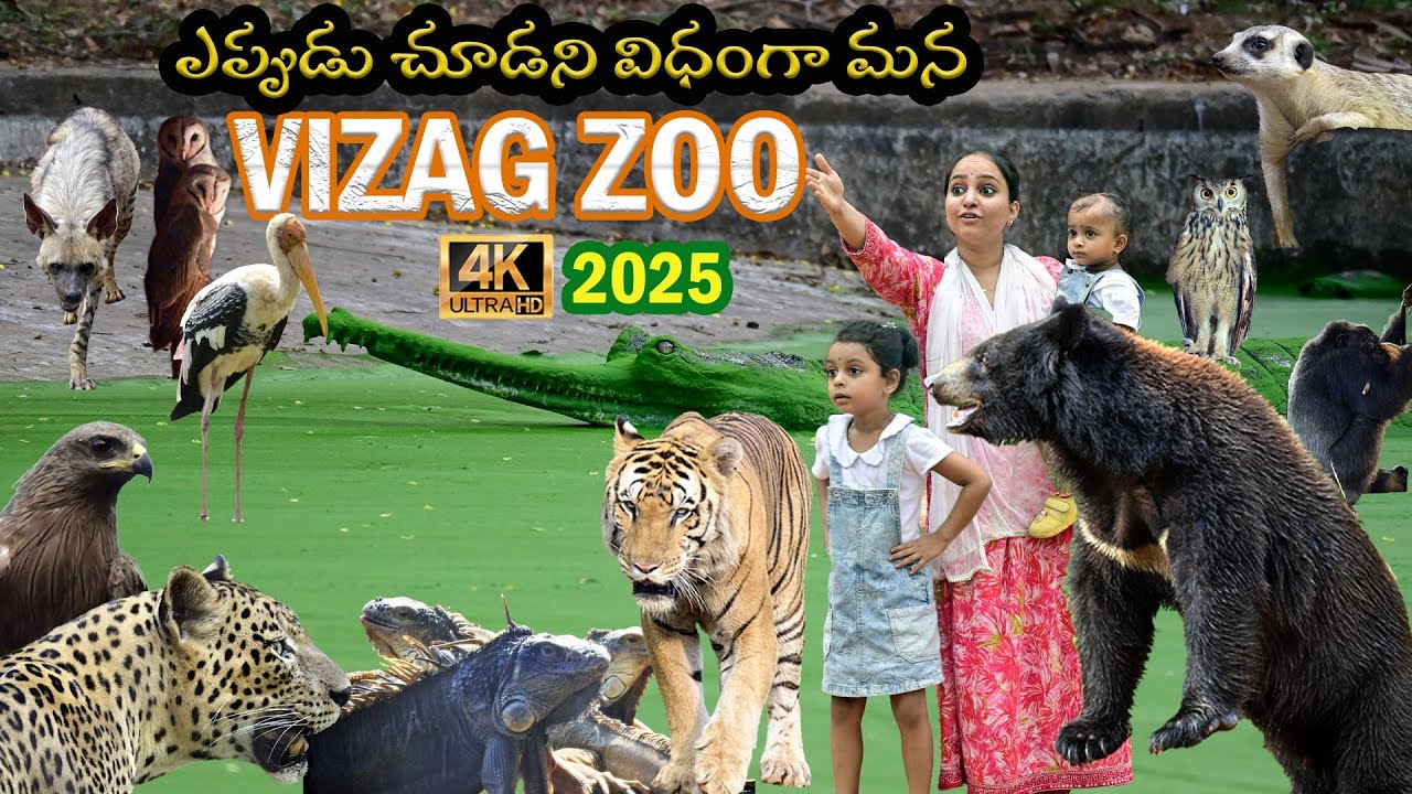 Vizag Zoo in 4K: 😍Intimate Views of Majestic Creatures| ✅జూ లో కూడా ఇంత క్లియర్ గా కనపడవు