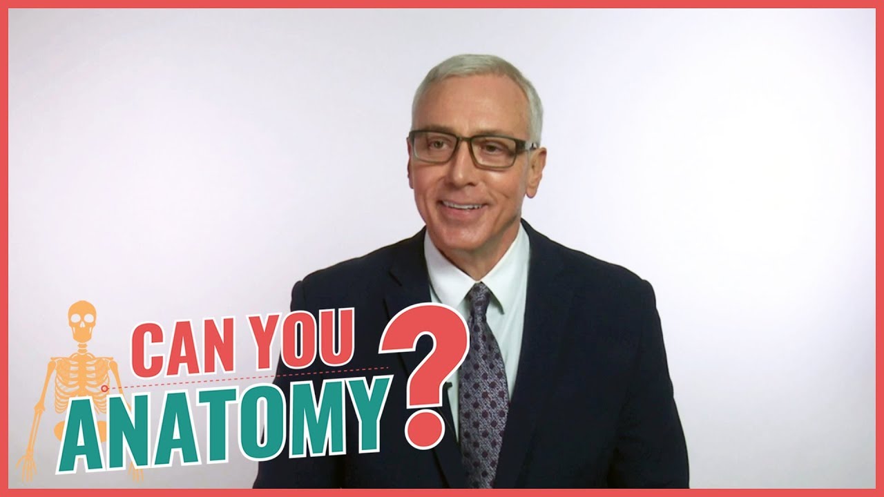 Can Dr. Drew Pinsky Answer Basic Anatomy Questions?