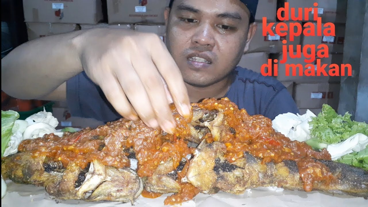 HABIS SAMA DURI