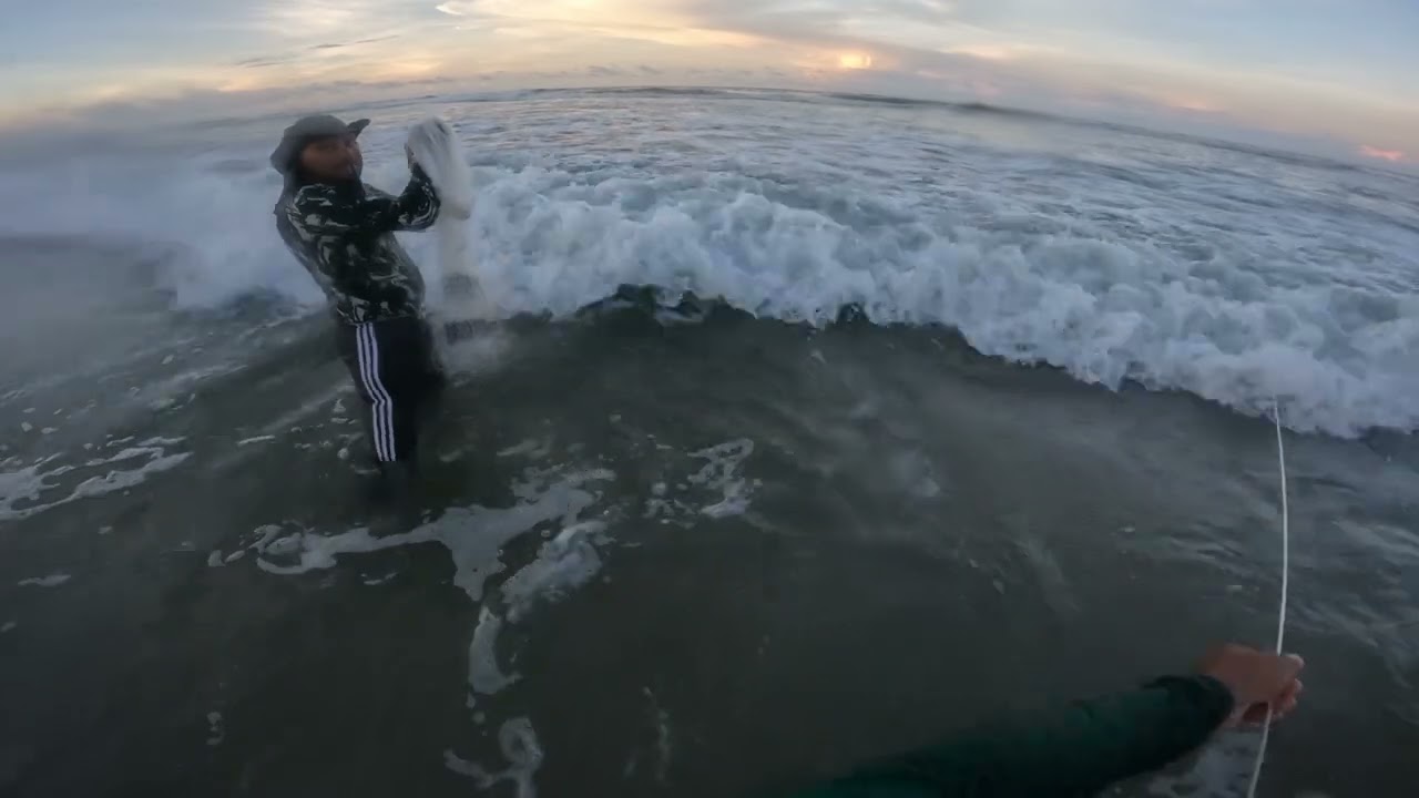 Pescando com tarrafa na praia 🏖️🏖️🏖️