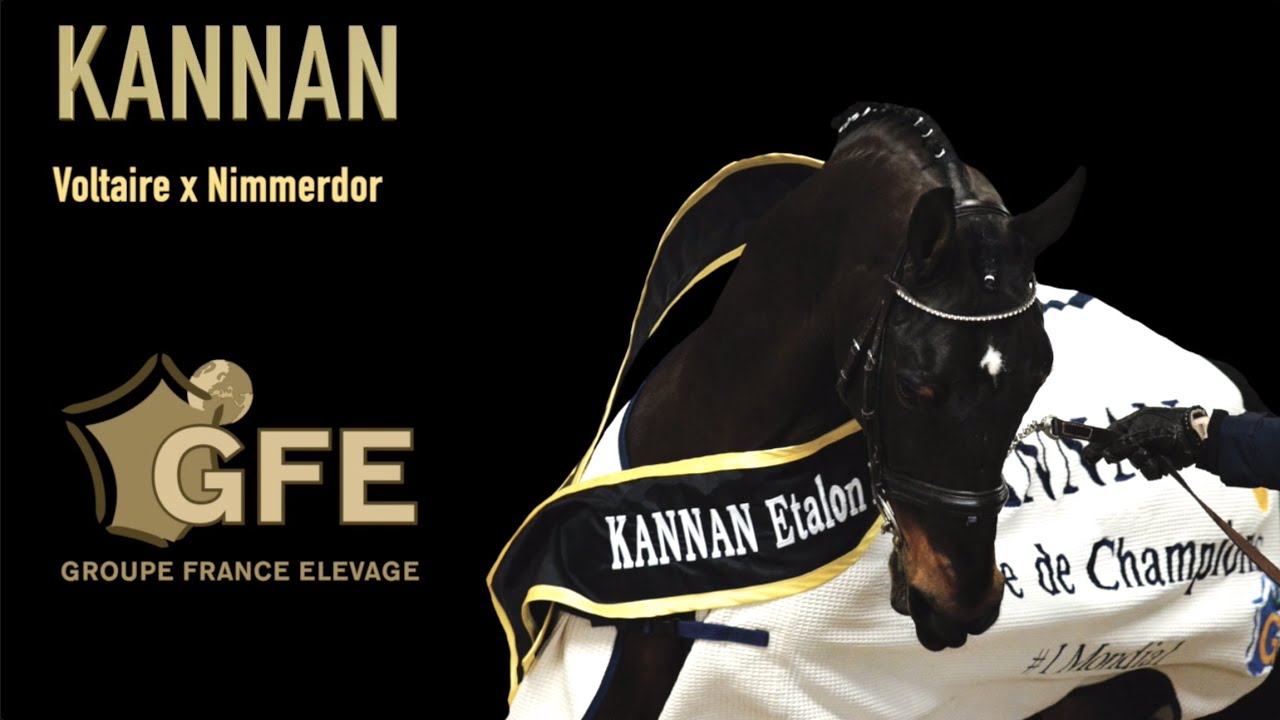 Kannan - 2020