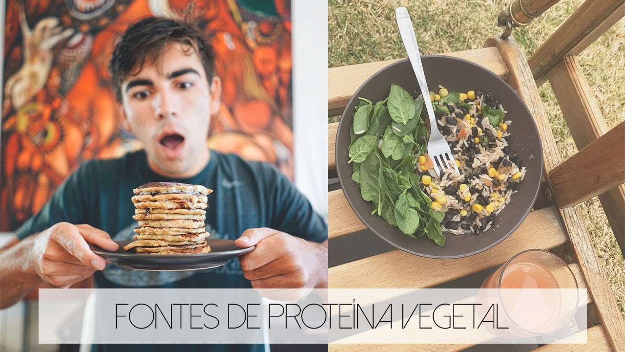 QUATRO FONTES DE PROTEÍNA VEGETAL