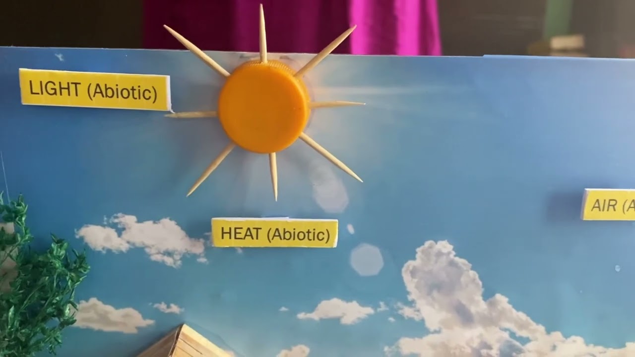 BIOTIC & ABOITIC Components (School Project) HD 1080p