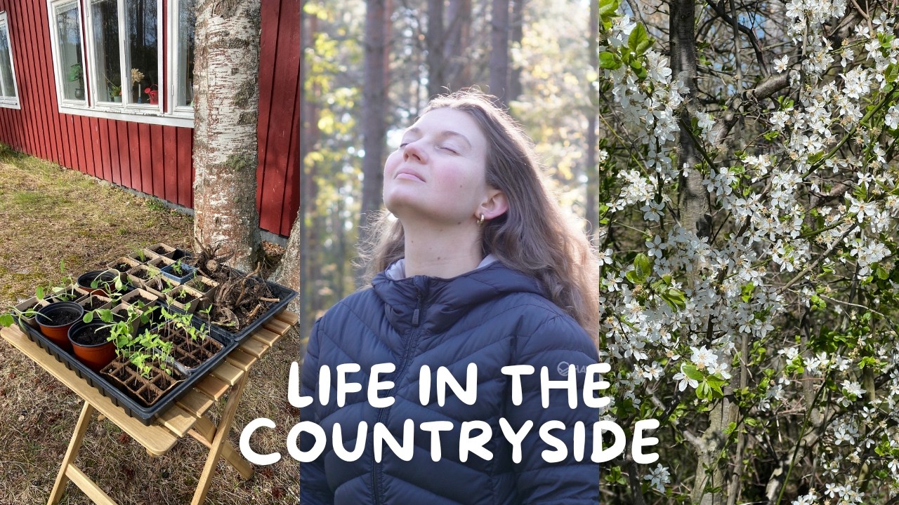 Spring is here | Life in the Swedish countryside 🌺
